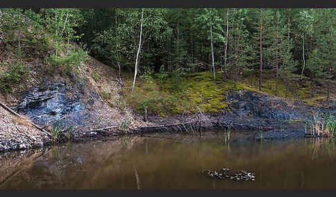 Thüringen (Thuringia)