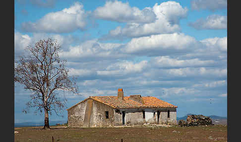 Spanien (Spain)