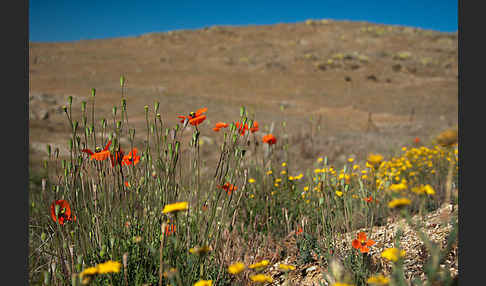 Spanien (Spain)