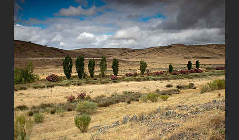 Spanien (Spain)