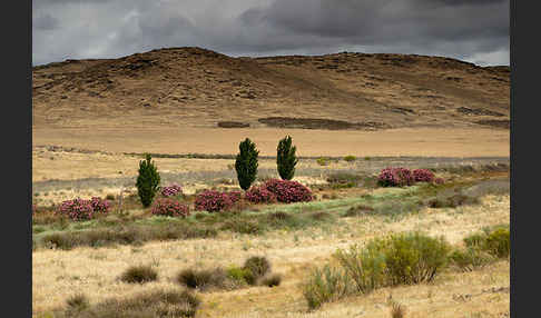 Spanien (Spain)