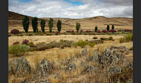 Spanien (Spain)