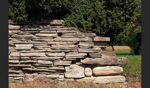 Trockenmauer (dry-stone wall)