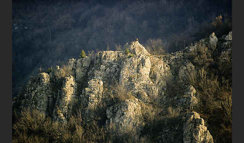 Bulgarien (Bulgaria)