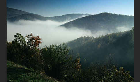 Bulgarien (Bulgaria)