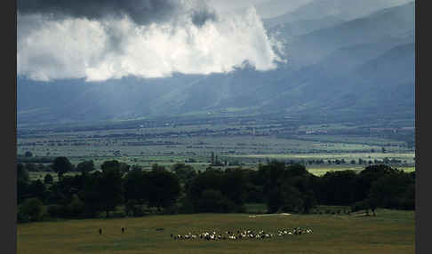 Bulgarien (Bulgaria)