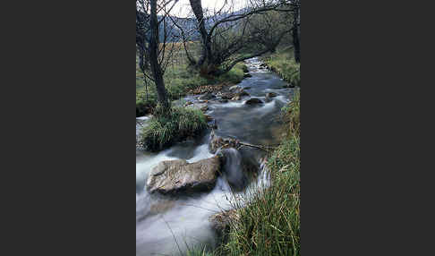 Bulgarien (Bulgaria)