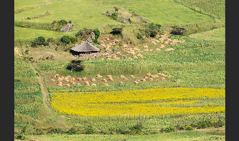 Aethiopien (Ethiopia)