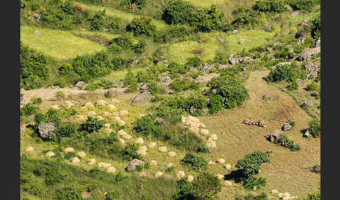 Aethiopien (Ethiopia)