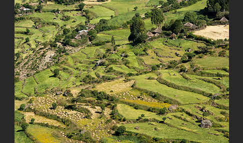 Aethiopien (Ethiopia)