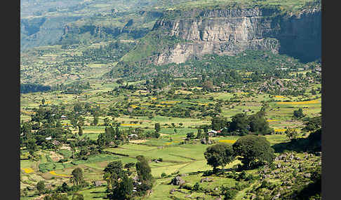 Aethiopien (Ethiopia)