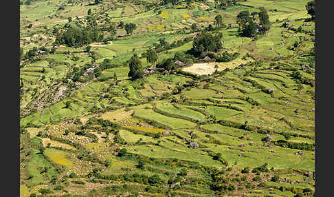 Aethiopien (Ethiopia)