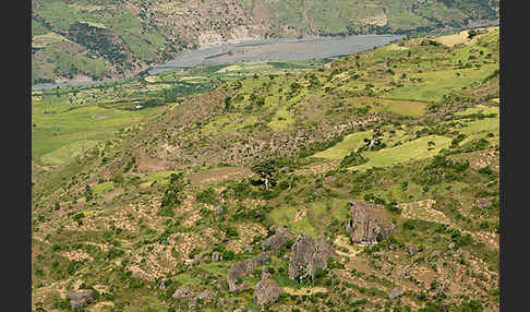 Aethiopien (Ethiopia)