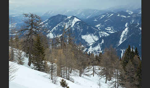 Österreich (Austria)