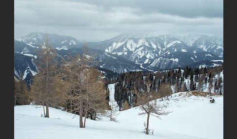 Österreich (Austria)