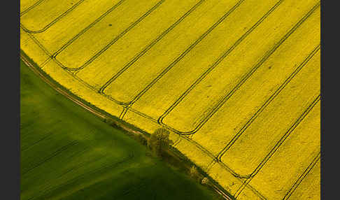 Thüringen (Thuringia)