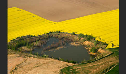 Thüringen (Thuringia)