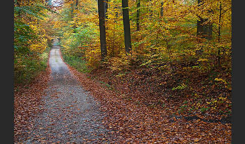 Thüringen (Thuringia)