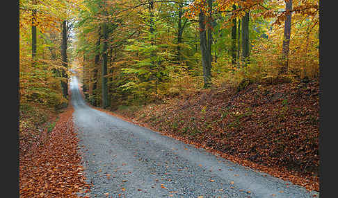 Thüringen (Thuringia)