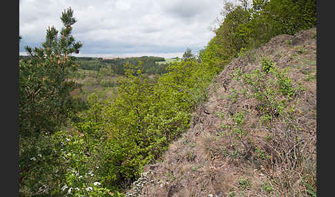 Thüringen (Thuringia)