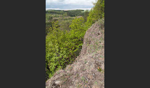 Thüringen (Thuringia)