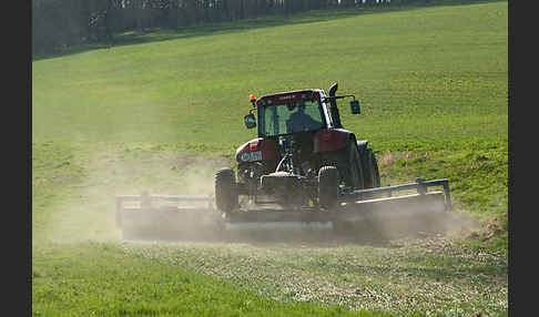 Intensive Landwirtschaft (industrial agriculture)