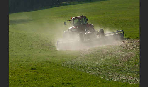 Intensive Landwirtschaft (industrial agriculture)