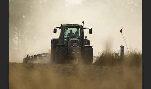 Intensive Landwirtschaft (industrial agriculture)