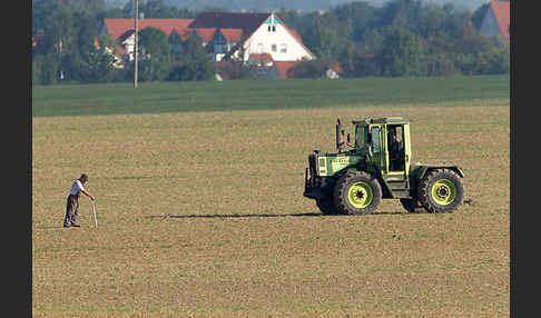 Intensive Landwirtschaft (industrial agriculture)