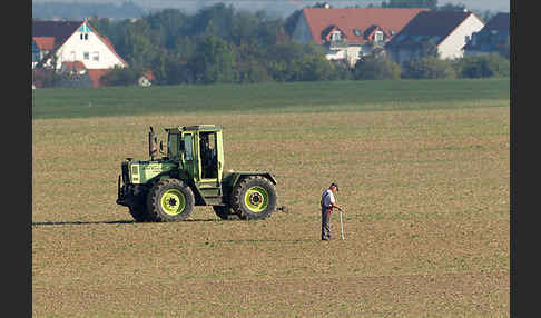 Intensive Landwirtschaft (industrial agriculture)