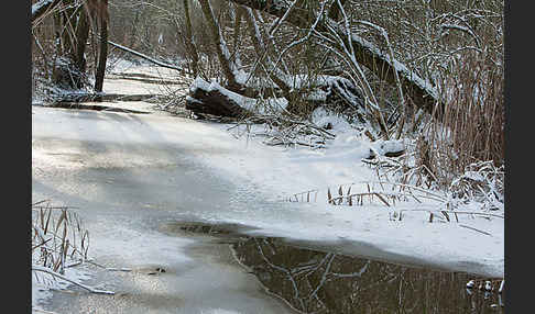 Thüringen (Thuringia)