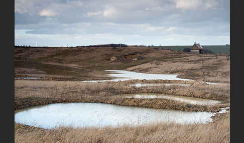 Thüringen (Thuringia)