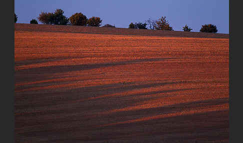 Thüringen (Thuringia)