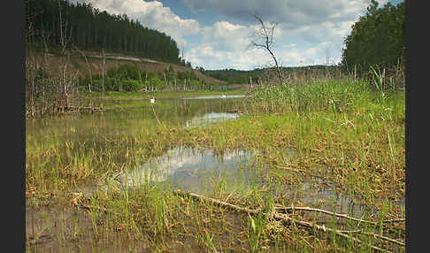 Thüringen (Thuringia)