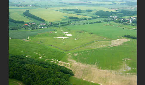 Thüringen (Thuringia)