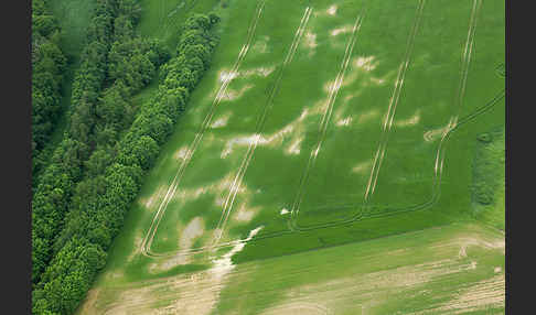 Thüringen (Thuringia)