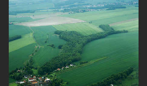 Thüringen (Thuringia)