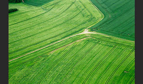 Thüringen (Thuringia)