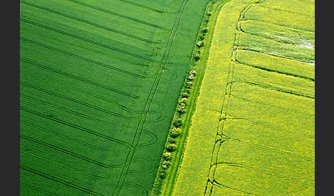 Thüringen (Thuringia)