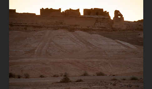 Marokko (Morocco)