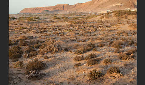 Marokko (Morocco)