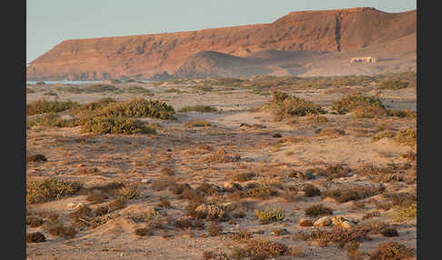 Marokko (Morocco)