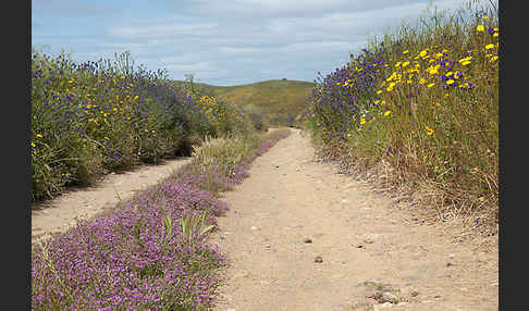 Spanien (Spain)