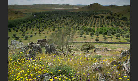 Spanien (Spain)