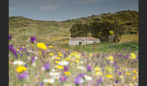 Spanien (Spain)