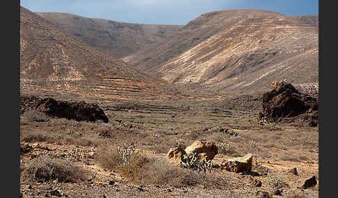 Lanzarote (Kanarische Inseln)