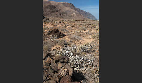 Lanzarote (Kanarische Inseln)