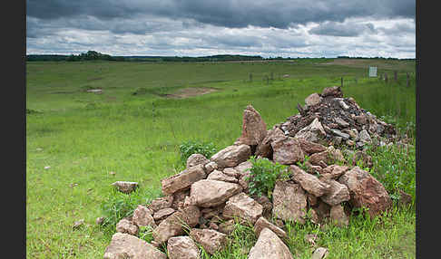 Thüringen (Thuringia)