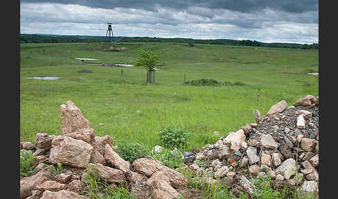 Thüringen (Thuringia)