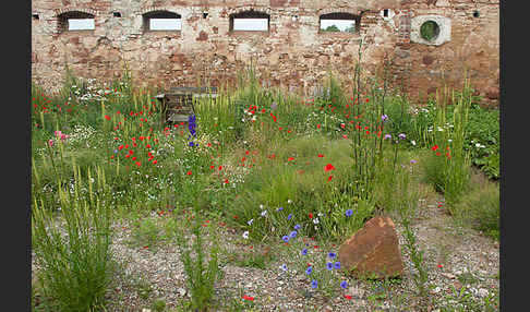 Kulturlandschaft (cultivated landscape)